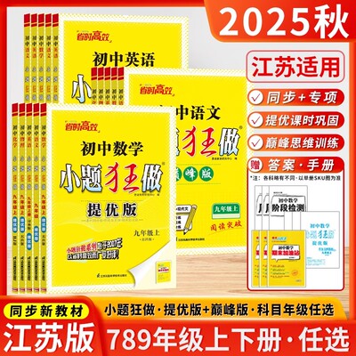 初中小题狂做提优版巅峰版
