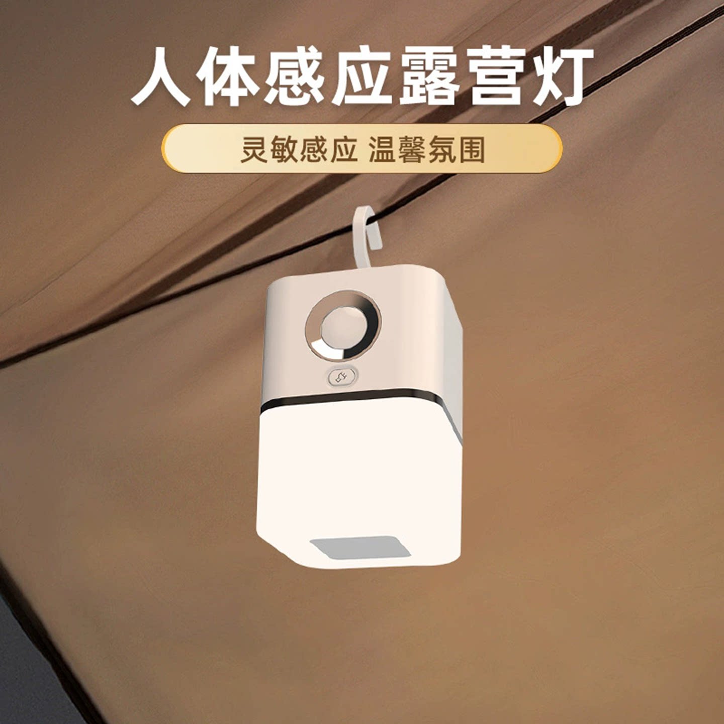 悬挂感应夜灯充插两用室内户外图片