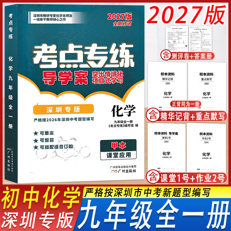 考点专练化学九年级全一册