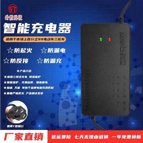 电动车电瓶充电器48V12AH20AH60V72V30AH雅迪新日金鹏电动三轮车