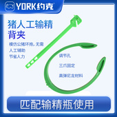 约克YORK猪用输精背夹高弹力输精夹母猪输精用支架猪腰夹子1个