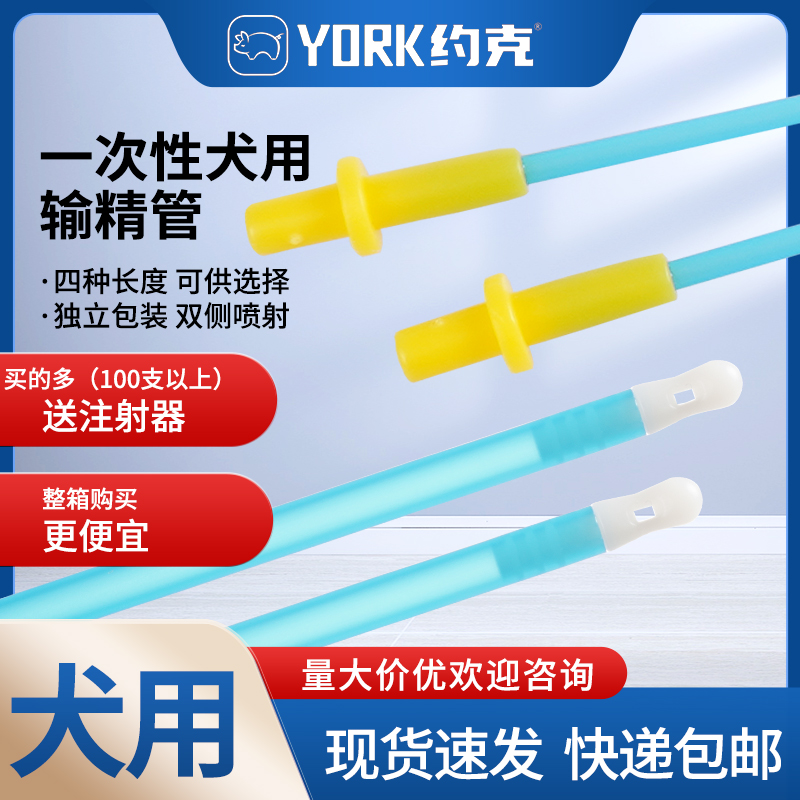 约克犬用输精管长度可选