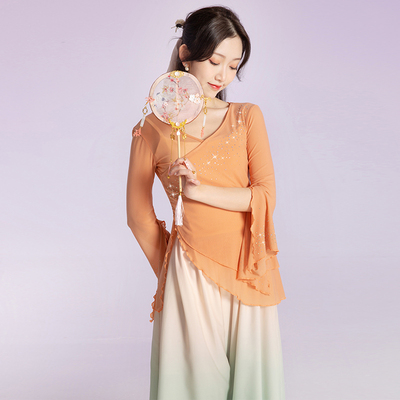 蔓之影古典舞练功服中国舞演出服仙气烫钻纱衣民族舞春夏舞蹈服