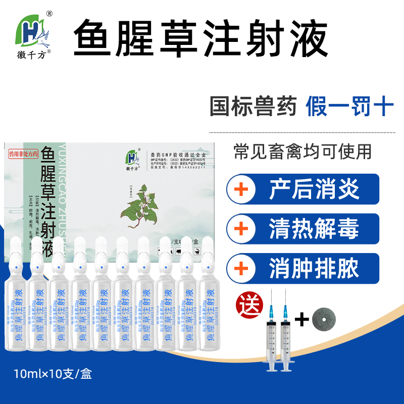 兽用鱼腥草注射液母猪针剂正品