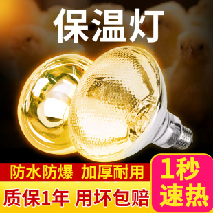 保温灯养殖场专用小鸡育雏烤灯取暖猪场灯泡加热兽用猪舍冬季保暖