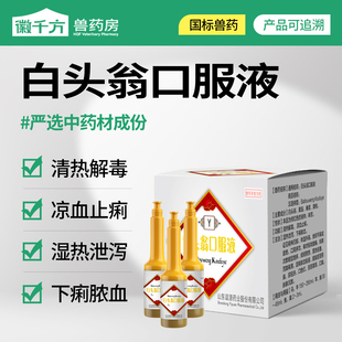 兽用白头翁口服液马猪羊兔牛禽用清热解毒凉血止痢湿热泄泻中兽药