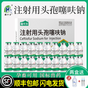 千方动保头孢噻呋钠注射兽用母猪牛羊消炎药注射液针剂正品兽药