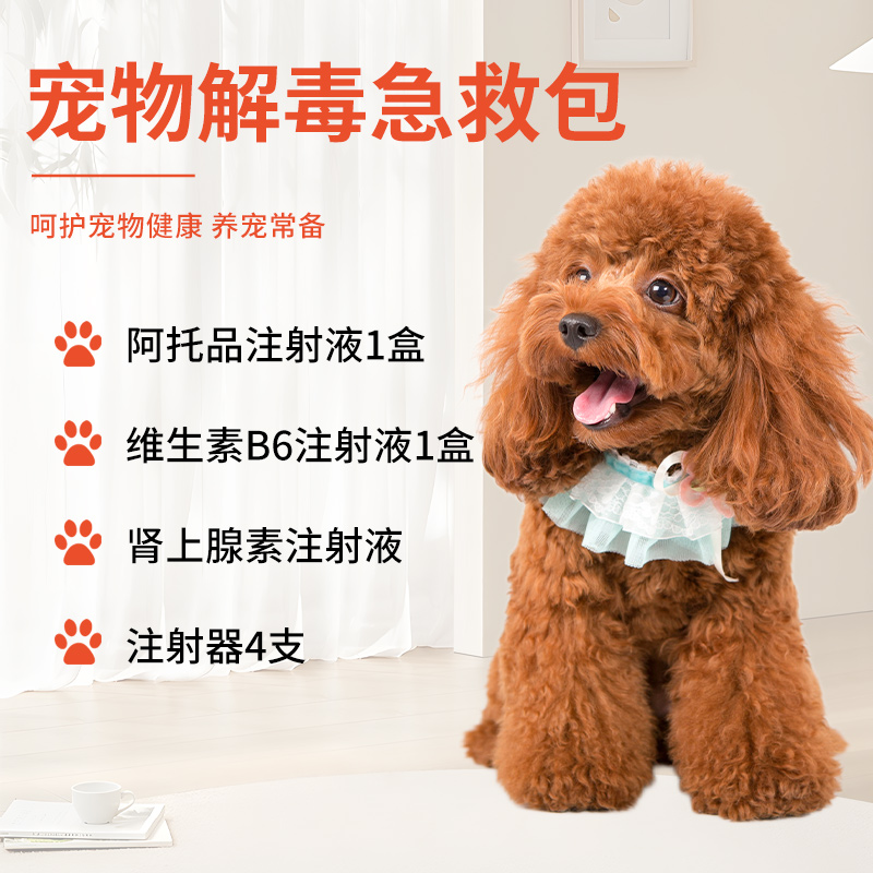 宠物解毒急救包阿托品碘解磷定B6