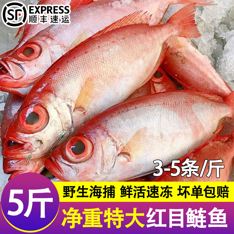 深海红目鲢鱼大眼鸡海捕大眼鲷冷冻新鲜红鲷鱼海鱼家海鲜水产批发