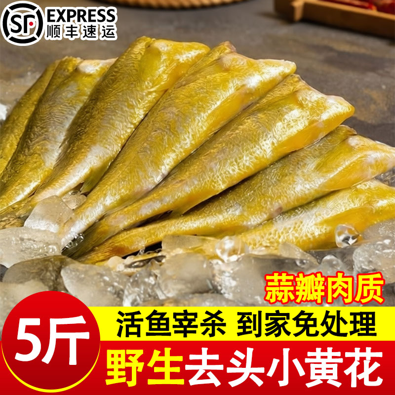 去头小黄花鱼新鲜冷冻5斤烧烤大黄鱼生鲜活海鱼海鲜整箱商用批发图片