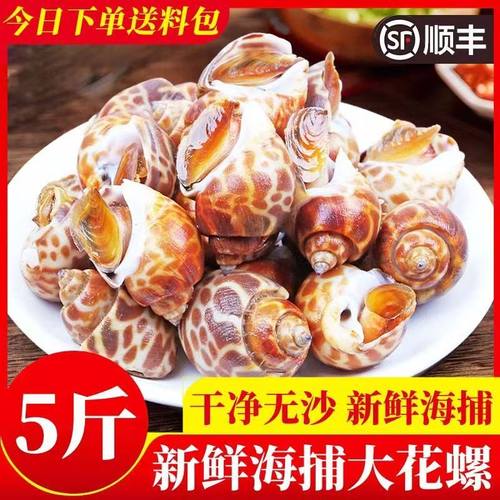 花螺鲜活新鲜特大海螺冷冻海鲜东风螺猫眼螺凤螺水产贝类烧烤海鲜