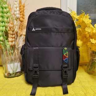 林峰书包双肩包男商大容量高级感防水电脑背包中学生背包LF-1952