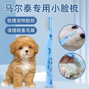 马尔泰专用面梳狗狗梳毛嘴毛泪痕刷泪痕梳子排梳眼屎清理密齿梳