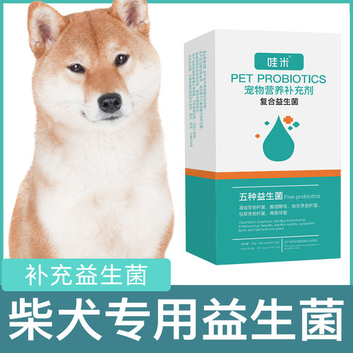 益生菌粉柴犬通用肠胃消化调理