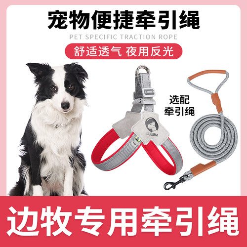 边牧专用狗狗胸背带牵引绳