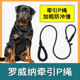 罗威纳专用牵引绳狗狗绳子防爆冲P链遛狗防挣脱大小型犬拴狗绳