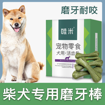 柴犬专用磨牙棒三个月小狗狗