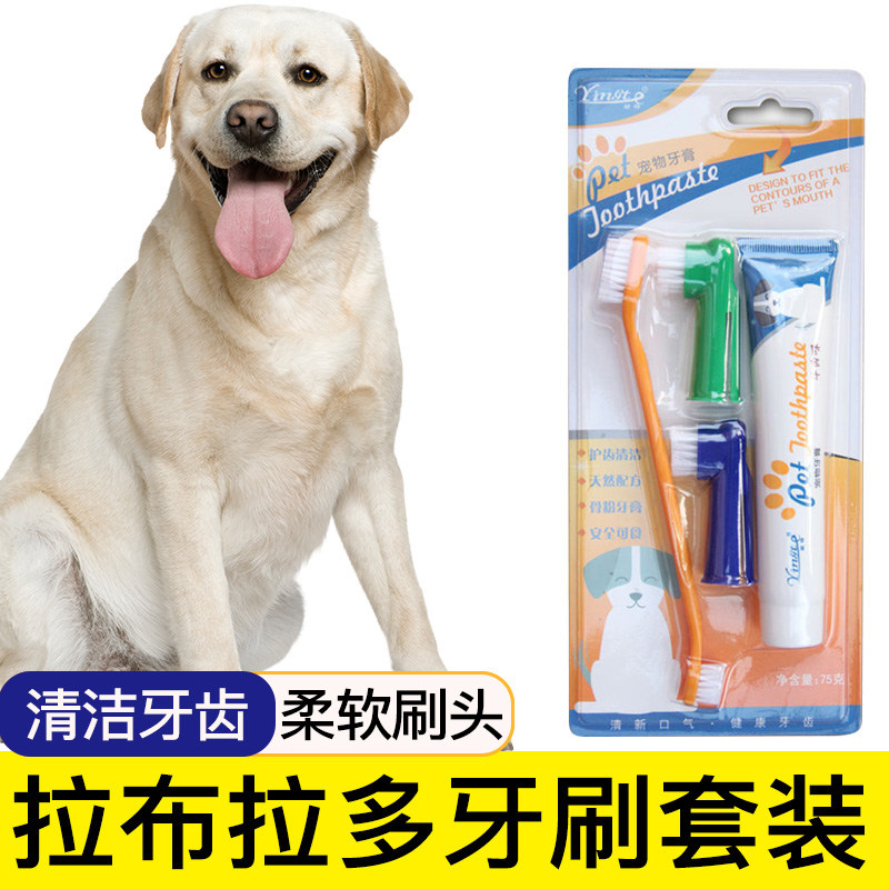 拉布拉多专用狗狗牙刷宠物牙膏套装刷牙清洁用品口腔牙用具指套,宠物/宠物食品及用品,猫狗牙膏/牙具,淘宝优惠券,粉丝福利购,淘宝优惠卷