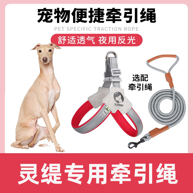 灵缇犬专用细狗胸背带牵引绳中小型犬脖圈背心式遛狗绳格力犬项圈