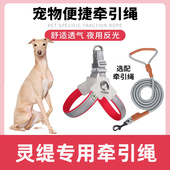 灵缇犬专用细狗胸背带牵引绳中小型犬脖圈背心式 遛狗绳格力犬项圈