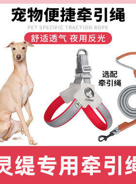 灵缇犬专用细狗胸背带牵引绳中小型犬脖圈背心式遛狗绳格力犬项圈