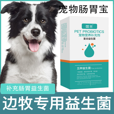 边牧益生菌粉宠物犬用成犬通用