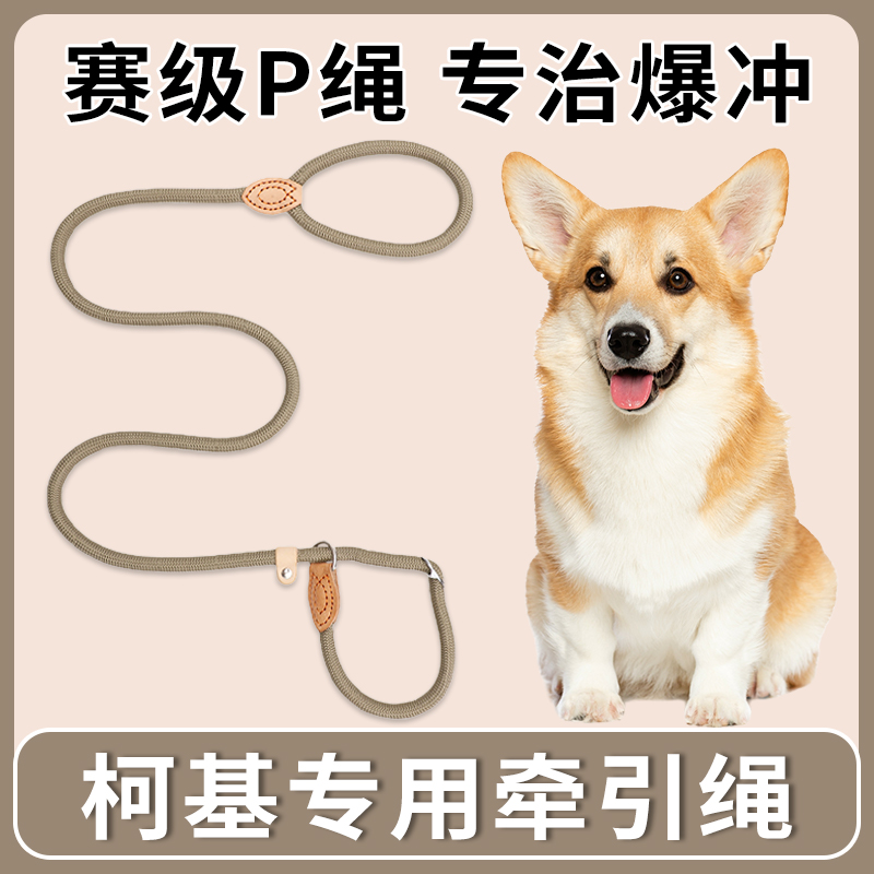 柯基专用狗狗绳子防爆冲P链遛狗