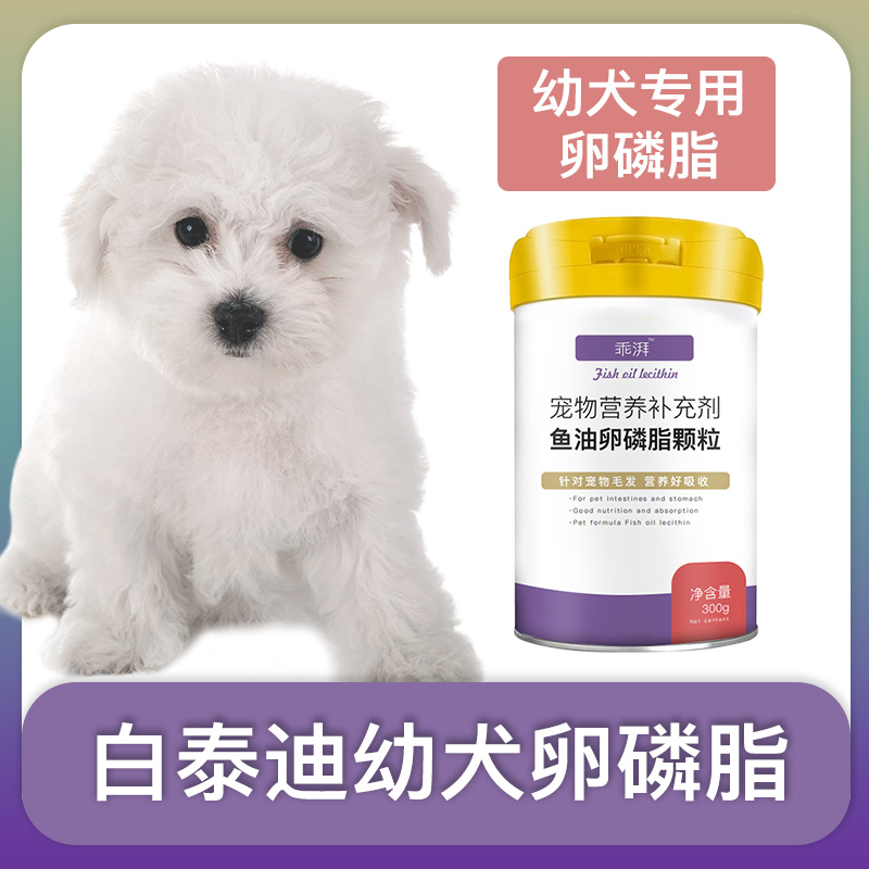 白泰迪幼犬专用卵磷脂