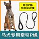 马犬专用牵引绳狗狗绳子防爆冲P链绳遛狗防挣脱大小型犬幼犬拴绳