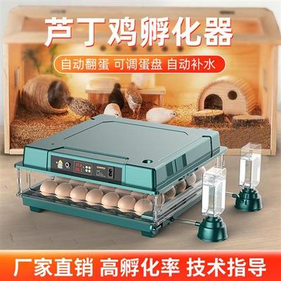 芦丁鸡孵化器小型家用迷你孵化机全自动智能小鸟蛋水床恒温孵蛋器