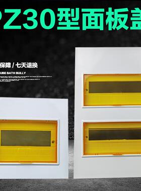 PZ30配电箱面板盖子白色暗明装铁盖板10 12 15 18 20 24 30回路