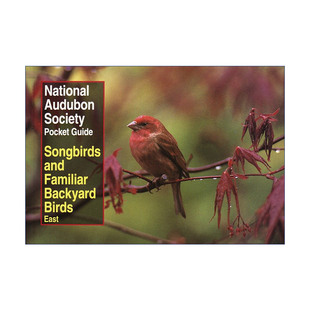 Society 进口书籍 珍指南 and National Audubon Familiar Guide Pocket Birds全美奥杜邦协会袖 英文原版 Backyard Songbirds