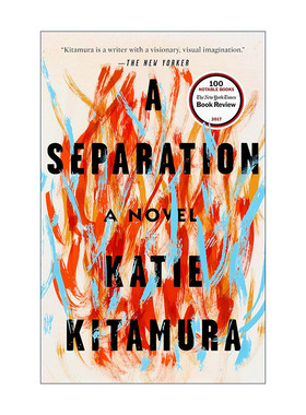 英文原版 A Separation 漫长的分离 凯蒂·北村Katie Kitamura英文版 进口英语原版书籍