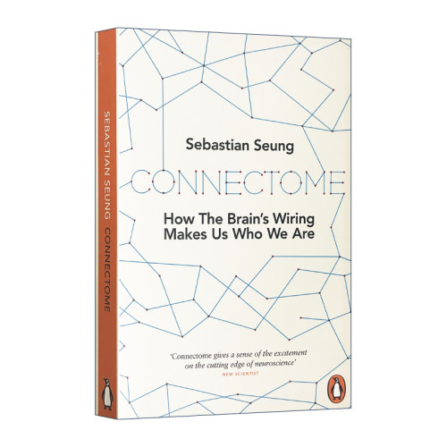 英文原版 Connectome 连接组 造就独一无二的你 豆瓣阅读 Sebastian Seung 英文版 进口英语原版书籍