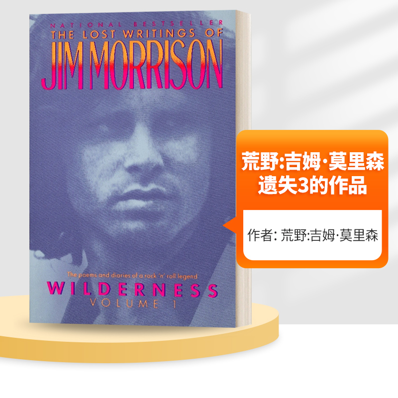 英文原版 Wilderness the Lost Writings of Jim Morrison 荒野 吉姆莫里森遗失3的作品 英文版 进口英语原版书籍