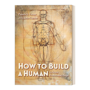 人类进化潜能插画精装 How Human 英文原版 绘本 进口英语原版 Build 英文版 书籍 儿童考古学科普百科 如何用7步塑造一个人