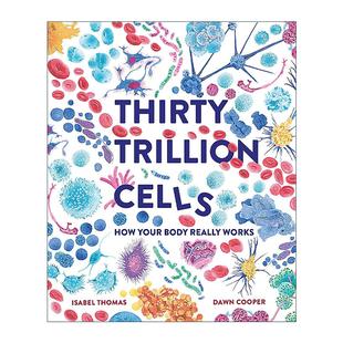 Cells 30万亿个细胞 进口英语原版 Thirty 书籍 英文版 Trillion 儿童科普百科绘本 英文原版 人体是如何运作