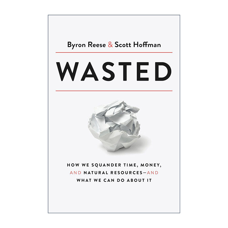 英文原版 Wasted 浪费 如何节省时间 金钱和自然资源 人工智能哲学作者Byron Reese 精装 英文版 进口英语原版书籍