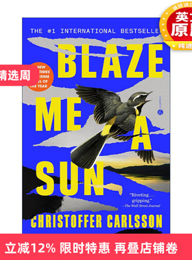 英文原版 Blaze Me a Sun 为我点燃太阳 犯罪悬疑小说 Christoffer Carlsson 英文版 进口英语原版书籍