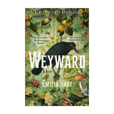 英文原版 Weyward 2023 Goodreads年度历史虚构小说 英文版 进口英语原版书籍