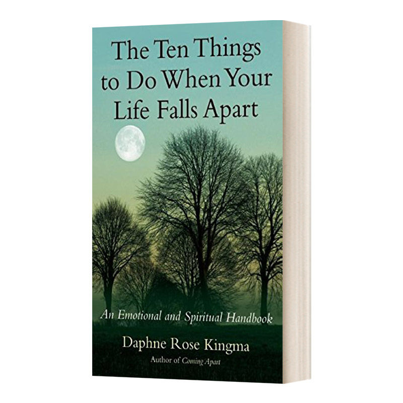 英文原版 The Ten Things to Do When Your Life Falls Apart 当你的生活崩溃时要做的十件事 英文版 进口英语原版书籍