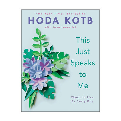 英文原版 This Just Speaks to Me 这只是对我而言 每天都要遵循的格言 精装 Hoda Kotb 英文版 进口英语原版书籍