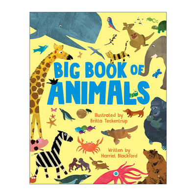 英文原版 Big Book of Animals 动物 大书 精装图画书 博洛尼亚获奖插画师Britta Teckentrup 英文版 进口英语原版书籍