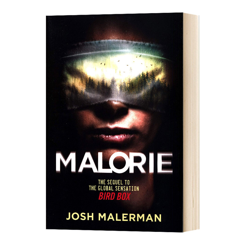 蒙上你的眼2 Malorie Bird Box 2 英文原版小说  网飞科幻剧集 Josh Malerman 英文版进口英语书籍