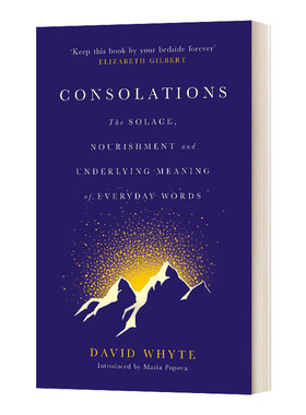 英文原版 Consolations 安慰 英国诗人大卫 怀特 精装 英文版 进口英语原版书籍