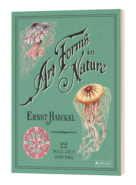 Ernst Haeckel 恩斯特海克尔 自然界的艺术形态 进口艺术 Art Forms in Nature Kira