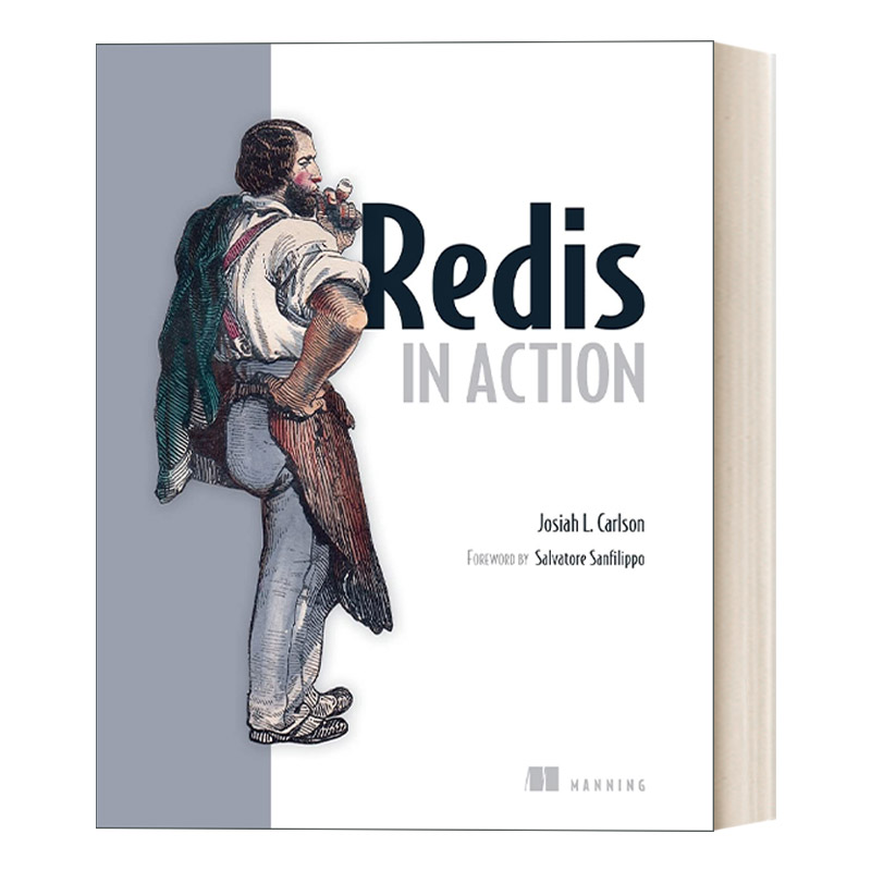 英文原版 Redis in Action Redis实战 编程入门系列 英文版 进口英语原版书籍