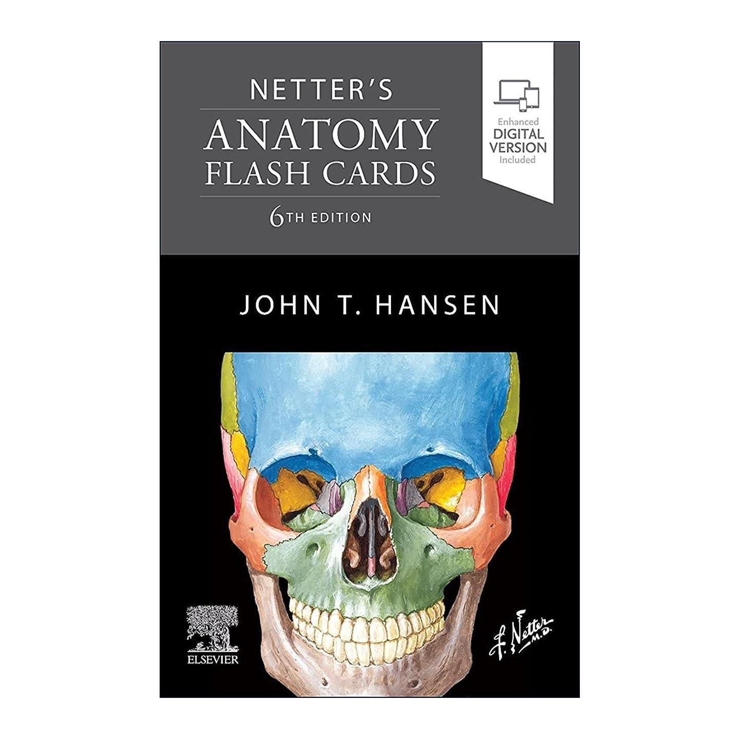 英文原版 Netter's Anatomy Flash Cards 奈特简明人体解剖学 闪卡套装 John T. Hansen 英文版 进口英语原版书籍