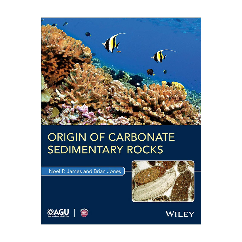 英文原版 Origin of Carbonate Sedimentary Rocks 酸盐沉积岩起源 英文版 进口英语原版书籍