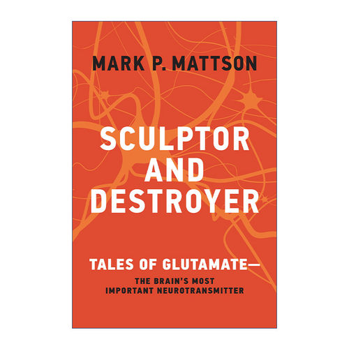 英文原版 Sculptor and Destroyer 雕刻家与毁灭者 贪食的故事 大脑中重要的神经递质 间歇性禁食作者Mark P. Mattson 进口书籍